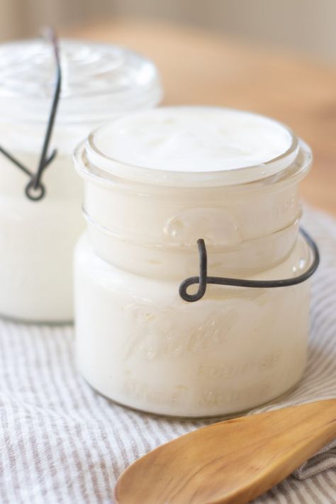 How To Make Thick Raw Milk Yogurt - The Homestyle Cottage Homemade Yogurt Recipes, Cheese Store, Thick Yogurt, Making Yogurt, Milk Kefir, Raw Recipes, Natural Probiotics, Yogurt Maker, Homemade Yogurt