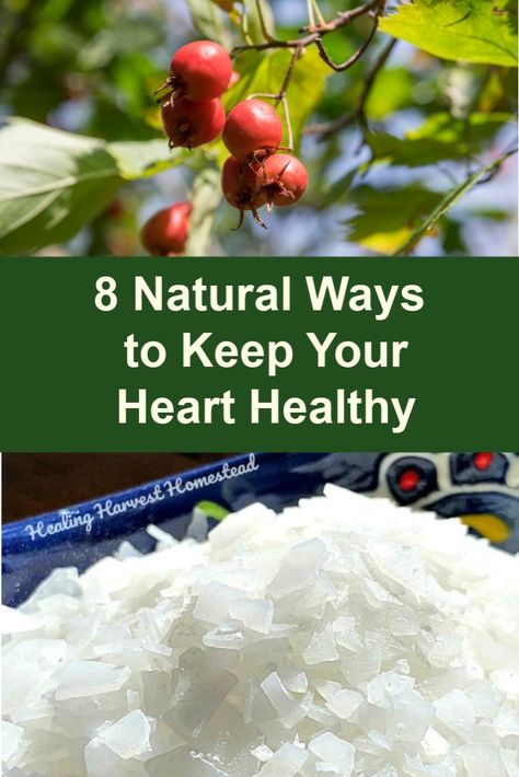 Mar 17, 2019 - You really need a healthy heart if you are planning on being active and living a long time. I'm talking about living WELL for a long time.  Personally, I want to be able to walk up stairs without huffing and puffing, run out to take care of our animals without feeling unduly stressed, and Elderberry Syrup, Heart Muscle, Healthy Heart, Circulatory System, Toxic Chemicals, Syrup Recipe, Heart Healthy Recipes, Natural Health Remedies, Health And Fitness Tips