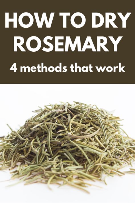 Fresh rosemary being dried using various methods, illustrating the process of preserving herbs Rosemary Drying, Dehydrate Rosemary, Drying Rosemary, Dry Rosemary, Phillips Air Fryer, Rosemary Recipes, Rosemary Water, Dried Rosemary, Rosemary Plant