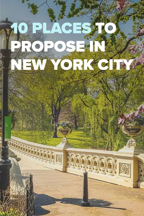 Places To Propose Ideas, Nyc Proposal Ideas, New York Proposal, Boyfriend Proposal, Nyc Proposal, Places To Propose, Proposal Spots, Best Places To Propose, Christmas Proposal