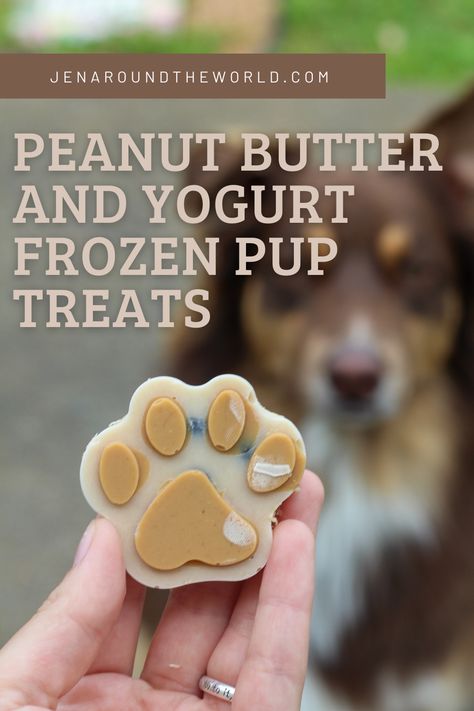 Dog Treat With Yogurt, Frozen Pup Treats, Frozen Dog Treats Homemade Peanut Butter Yogurt Banana, Dog Treats Yogurt And Peanut Butter, Peanut Butter Pupsicles For Dogs, Yogurt Puppy Treats, Frozen Dog Treats With Yogurt, Greek Yogurt Treats For Dogs, Frozen Treats For Dogs Recipe