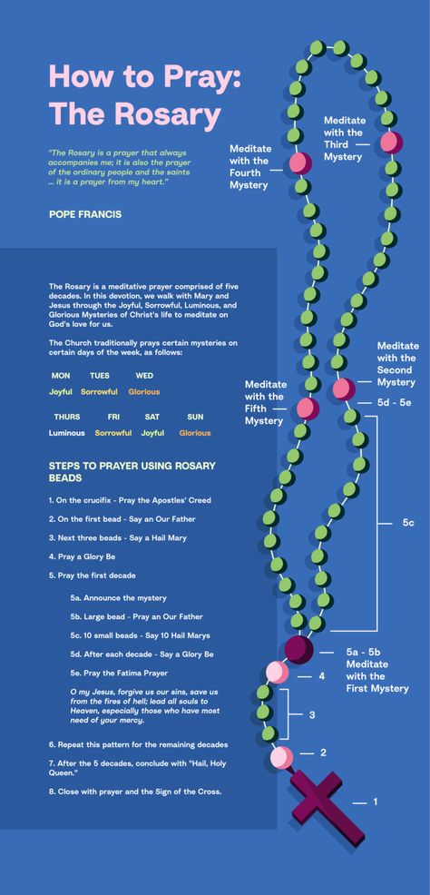 Holy Rosary Guide, How To Pray The Rosary Catholic, How To Pray The Rosary, Hail Mary Prayer Catholic, Rosary Prayer Guide, Praying The Rosary Catholic, Rosary Guide, Rosary Meditations, Rosary Prayers