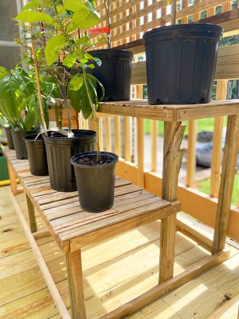 diy 2-tier plant stand Diy Tier Plant Stand, Pot Plant Stands Diy, Container Garden Stand, Diy Plant Stand Outdoor, Diy Outdoor Plant Stands, Outdoor Plant Stand Ideas, Diy Backyard Ideas, Timber Planters, Tier Plant Stand