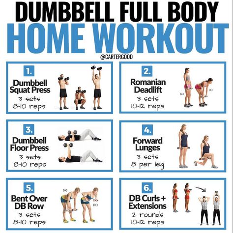 . Wanna give this dumbbell workout a shot? (instructions below👇) ⠀ Most of my posts tend to be about nutrition. Reason being, when it… 4 Day Workout Routine, Dumbbell Ab Workout, Best Dumbbell Exercises, Dumbbell Workout At Home, Core Workout Videos, Full Body Workout Plan, Weight Workouts, Full Body Dumbbell Workout, Dumbell Workout