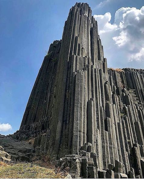 The columnar basalts in the Czech Republic. #geology #science #geologyscienceo #geologist #geologyrocks #minerals #geological #nature #structuralgeology #earth #basalt #czechrepublic Basalt Rock, Basalt Columns, Matka Natura, Geology Rocks, Ancient Forest, Ancient Tree, The Czech Republic, Fantasy Places, Rock Formations