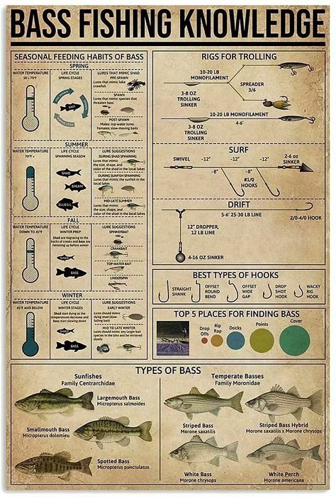 PRICES MAY VARY. Approximate Size: 8x12 inch (20x30cm) Material Style: Tin / Metal / Vintage Tin Sign / Wall Decoration Unique And Novel Tin Sign Wall Art Poster. Easy To Hang: Screw Holes Are Pre-Drilled At The Corners For Easy Hanging. For Safe Handling, The Edges Of Each Tin Label Must Be Rolled Up And Crimped. This Bass Fishing Knowledge Tin Sign Is Suitable For Decoration In Home,Garages, Coffee, Kitchens, Bars, Men'S Caves, Bathrooms Or Other Places. It Can Be Used As Wall Decoration Or As Fishing Knowledge, Knowledge Poster, Fishing Knots, Wilderness Survival, Family Art, Vintage Metal Signs, Artwork Print, Fishing Tips, Survival Tips