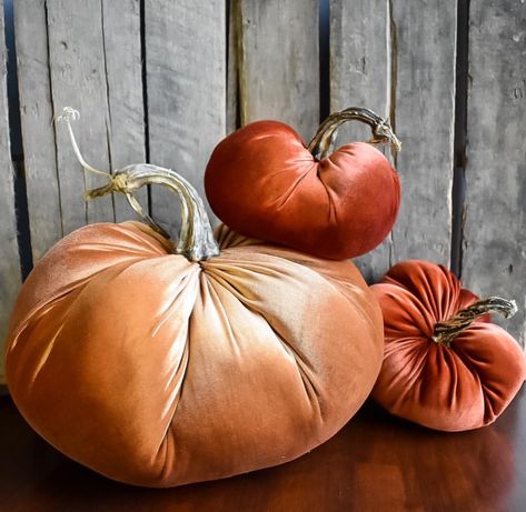 Some cinnamon spice makes everything nice on a rainy day 🧡🍂🍁Big momma is copper and her friends are rust. Shop 👆🏼link in bio!… Fall Hostess Gifts, Complementing Colors, 10 Percent Off, 20 Percent Off, Pumpkin Stem, Fall Arrangements, Fall Tablescapes, Velvet Pumpkins, Black Feathers