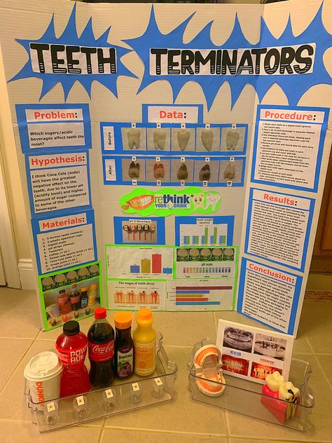 Science Project Trifold Board Ideas, 8th Grade Science Fair Projects Ideas, Science Fair Ideas Highschool, Science Fair Projects For Middle School, Science Fair Projects Highschool, Science Project Working Model, Trifold Board, Science Fair Projects Boards, Biology Poster