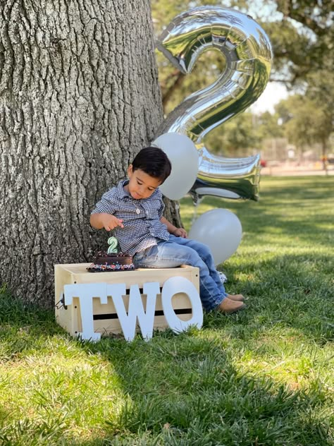 2nd Birthday Party Photoshoot Ideas, Photoshoot Ideas 2nd Birthday, 2 Yo Birthday Photoshoot, Photoshoot For 2 Year Boy, 2nd Birthday Family Photos, Two Year Old Birthday Picture Ideas, Baby Boy 2nd Birthday Photoshoot Ideas, 2nd Year Birthday Ideas Boys, 3 Year Birthday Photoshoot Boy