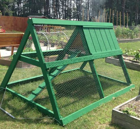 Simple Chicken Coop Plans, A Frame Chicken Coop, Chicken Houses, Small Chicken Coops, Easy Chicken Coop, Portable Chicken Coop, Backyard Chicken Coop Plans, Chicken Tractors, Chicken Tractor