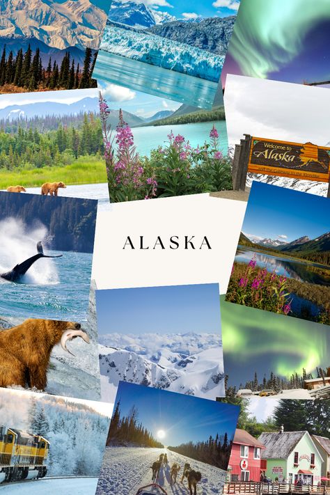 This state has it all, from breathtaking mountains and endless outdoor activities to a diverse culture and strong community ties. Dive in as I share my experience of relocating to Alaska and why it was the best decision my family and I ever made to live a life of adventure. Places To Travel In Canada, Alaska Activities, Alaska Lifestyle, Alaska Aesthetic, Alaska Living, Alaska Nature, Alaska Travel Cruise, 50 States Travel, Usa Culture