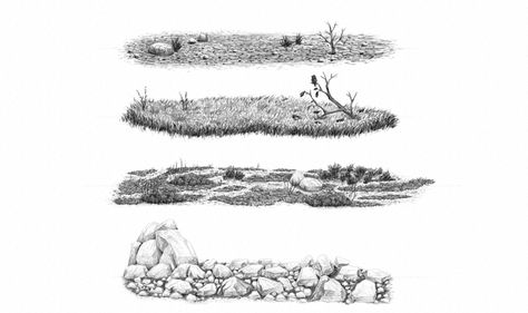 There are many types of ground you can use for your drawing. In this tutorial we'll take a close look at simple dirt, a grass field, a dry land (a semi-arid desert), and rocky ground. Dirt Drawing Reference, Forest Ground Drawing, Dirt Drawing, Draw Garden, Ground Drawing, Garden Planing, Drawing Landscapes, Draw Nature, Landscape Drawing Tutorial