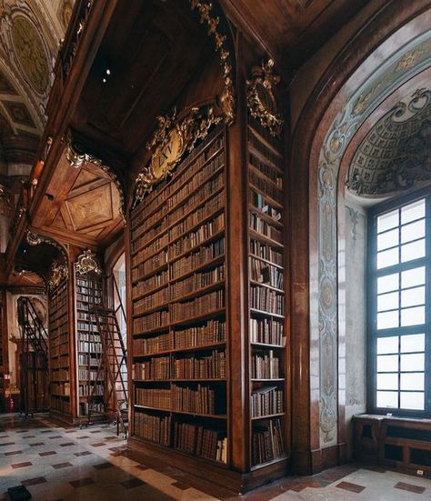 One Thousand Libraries 📖 on Instagram: "📚 Austrian National Library 📚 📍Vienna, Austria 😍😍😍 The Austrian National Library is the largest library in Austria and one of the oldest libraries in the world. It was founded in the early 18th century and has since grown to become a center of research and culture in Austria. The library is located in the heart of Vienna and holds over 7 million books and manuscripts, making it one of the most important cultural institutions in Europe. The Austrian Library Vienna, Austrian National Library, Street Punk, Old Library, National Library, One Thousand, Vienna Austria, Home Library, The Library