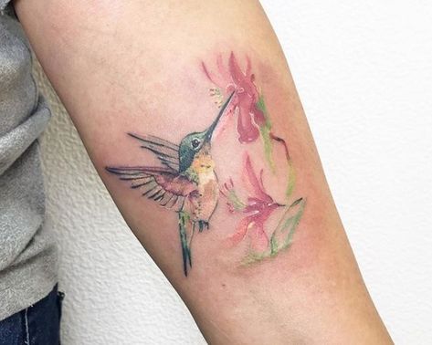 28 Best Watercolor Hummingbird Tattoo Designs | Page 2 of 7 | The Paws Watercolor Hummingbird Tattoo, Geometric Hummingbird Tattoo, Hummingbird Tattoo Black, Hummingbird Tattoo Watercolor, Colorful Hummingbird Tattoo, Hummingbird Tattoo Meaning, Hummingbird Flower Tattoos, Design Tatuaje, Small Hummingbird Tattoo