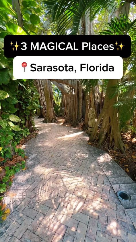 Kishia | Florida Travel ☀️🌴🥥🌺 | If you’ve never been to these 3 magical places in Sarasota, Florida, you need to save this so you don't forget to check them out! 1.... | Instagram Things To Do Near Sarasota Florida, Ringling Museum, Visit Florida, Summer Trip, Sarasota Florida, Florida Travel, Magical Places, Summer Travel, Sarasota