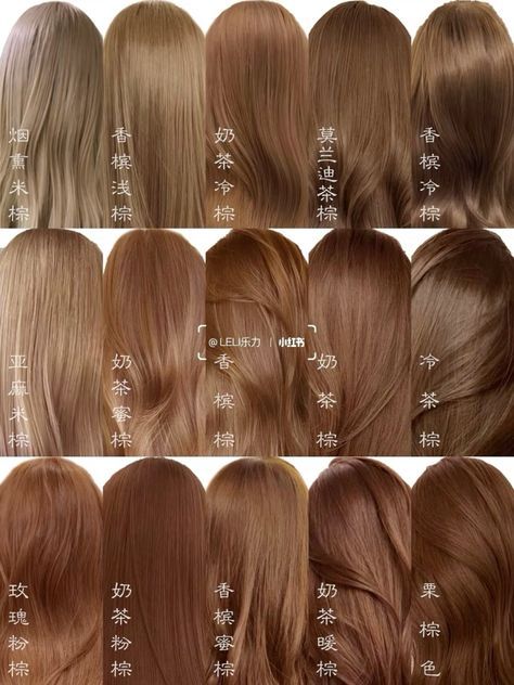 Light Brown Hair Colour Shades, Light Brown Hair Orange Undertone, Rusty Hair Color Brown, Milk Tea Copper Hair, Hair Colors For Asian Skin Tone, Hair Dye Colors For Tan Skin, Solid Hair Color Ideas For Curly Hair, Orange Undertone Hair, Milk Tea Brown Hair On Tan Skin