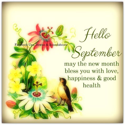 Canadian Needle Nana: September Hello, Free Patterns, Journal Writing, Turtle Family Happy September 1st Quotes, Welcome September Images, Happy New Month September, Hello September Quotes, Hello September Images, Happy New Month Quotes, New Month Wishes, September Images, September Quotes