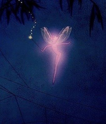 Pink Fairy, Fairy Angel, Video Editor, Night Sky, Astrology, Angel