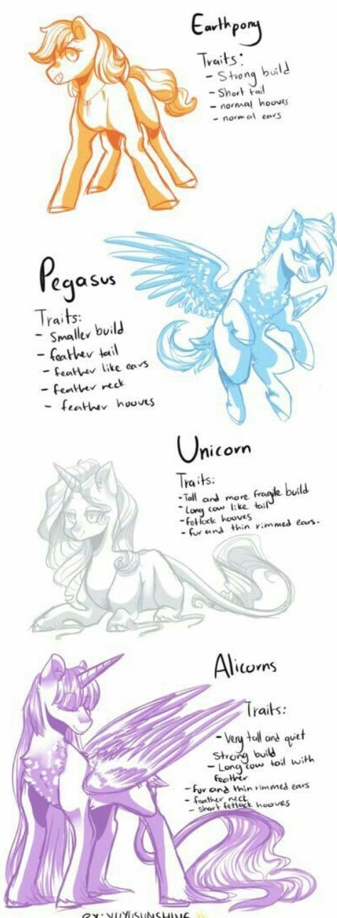 MLP Idea’s Mlp Pony Anatomy, Mlp Pony Tutorial, Mlp Movie Characters, Pegasus Reference Drawing, Mlp Base Reference, How To Draw Mlp Base, Mlp Anatomy Reference, Mlp Art References, Mlp Oc Tutorial