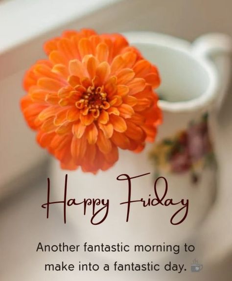 Good morning 🌞 Have a fantastic Friday!💋💜 Fantastic Friday Quotes, Beautiful Morning Pictures, Good Morning Sister Quotes, Fantastic Friday, Free Good Morning Images, Good Morning Sister, Special Good Morning, Friday Images, Blessed Week