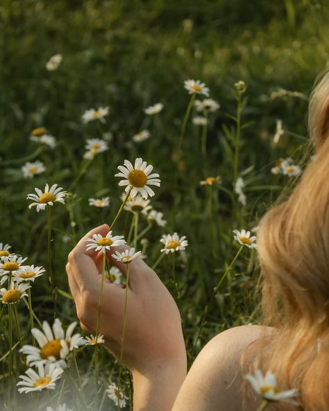 picking wildflowers Flower Picking Aesthetic, Wildflowers Aesthetic, Wildflower Aesthetic, Picking Wildflowers, Flower Picking, Vision Board Photos, Flower Picks, Picking Flowers, Vision Board Manifestation