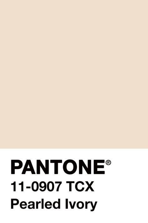 Brown Pantone, Cream Beige, Colour Board, Pantone Color, Colour Palette, Color Inspiration, Pastel Colors, Cream Color, Paint Colors