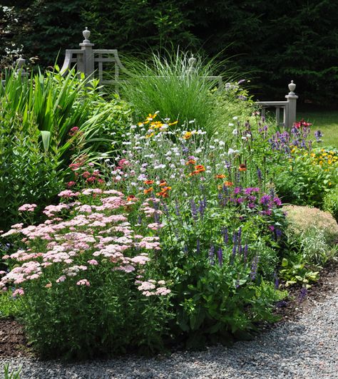 Yarrow In Landscape, Ontario Garden Ideas, Ontario Garden, Vege Patch, Uxbridge Ontario, Cottage Garden Plan, Landscape Border, Yarrow Plant, Pink Yarrow