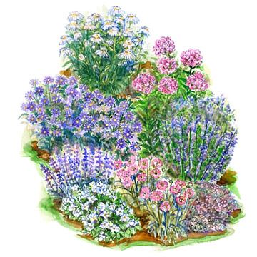 Create a cooling effect during hot summer days with this beautiful small garden plan: http://www.bhg.com/gardening/plans/by-size/small-garden-plans/?socsrc=bhgpin042514pastelsummersmallgarden&page=6 Cottage Garden Plan, Small Garden Plans, Flower Garden Plans, Colorful Cottage, Landscape Flowers, Garden Plan, Corner Garden, Garden Plans, Contemporary Garden