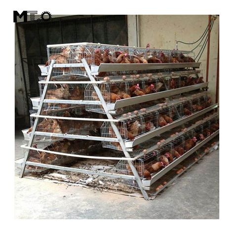 Poultry Farm Design, Cages For Sale, Chicken Shed, Layer Chicken, Backyard Chicken Coop Plans, Poultry House, Chicken Nesting Boxes, Poultry Cage, Diy Chicken Coop Plans