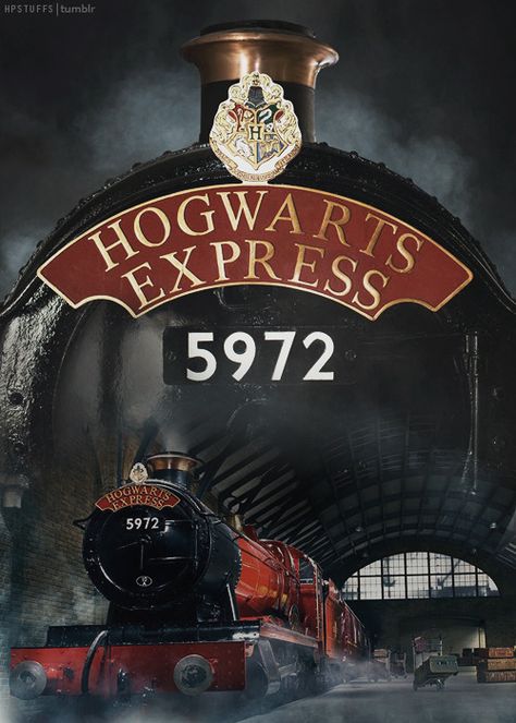 Blaise Harry Potter, Harry Potter Stuff, Hery Potter, Harry Potter Train, Hogwarts Express Train, The Hogwarts Express, Harry Potter Background, Harry Potter Poster, Anniversaire Harry Potter