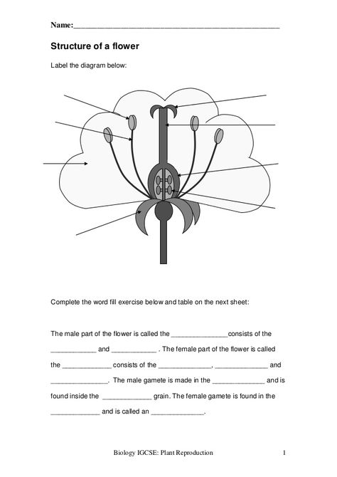 Plant reproduction worksheet Label Flower Parts, Part Of Flower Worksheet, Flower Parts Worksheet, Parts Of Flower Worksheet, Parts Of A Flower Worksheet, Structure Of Flower, Parts Of Flower, Flower Worksheet, Fun Science Worksheets