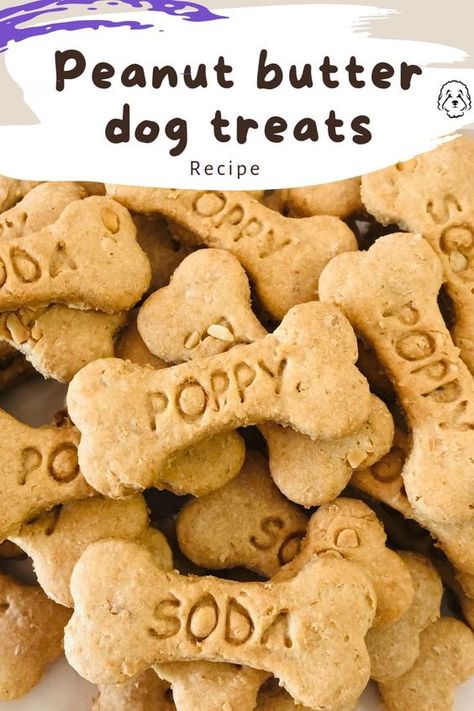 Your dogs will love this quick and easy peanut butter dog treat recipe. All you need to make these dog biscuits is peanut butter, flour, egg and water. They’re a tasty, healthy dog treat for your peanut butter loving pooch. Flourless Dog Treats, Dog Treat Cookies, Dog Biscotti Recipe, Dog Peanut Butter Cookies, Homemade Peanut Butter Dog Treats Recipe, Dog Cookies Recipe, Healthy Dog Biscuits, Peanut Butter Dog Biscuits, Peanut Butter Biscuits