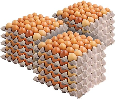 Recyclable & Stackable Pulp Fiber Egg Flats for Packing Eggs, Small Tools, Automotive Parts - Cardboard Egg Cartons for Soundproofing for Walls Crates Of Eggs, Eggs In Carton, Egg Pictures Image, Eggs Image, Egg Pictures, Egg Shop, Iphone Wallpaper Lights, Egg Production, Antique Oil Lamps