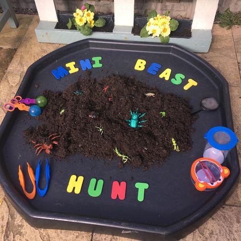 Home From Home on Instagram: “We can’t have mini beast week without a bug hunt. 🕷 🐞 🦋 🐌🦟🐛🐝🦂 #welovespringplay #april_play #minibeasts #eyfs #kidsactivities…” Messy Play Tuff Tray Ideas Eyfs, Messy Play Ideas Eyfs, Nursery Play Ideas, Early Years Tuff Tray, Messy Play Eyfs, Eyfs Minibeasts Activities, Mini Beast Activities, Mini Beasts Activities, Mini Beasts Eyfs