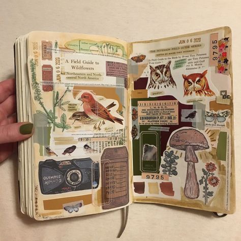 Junk Sketchbook Ideas, Scrapbook Ideas Nature, Coffee Junk Journal Ideas, Nature Journal Aesthetic, Nature Scrapbook Ideas, Junk Scrapbook Ideas, Junk Journal Layout Ideas, Journal Layout Aesthetic, Junk Journal Scrapbook