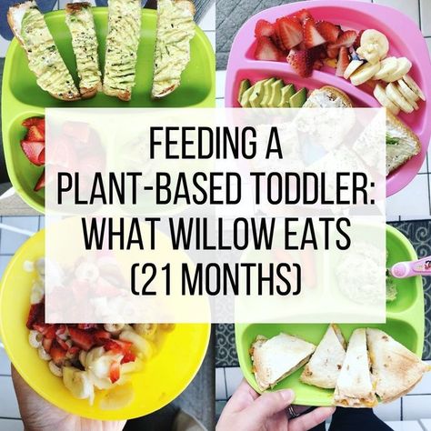 Meal Ideas For Kids, Breakfast Lunch And Dinner Ideas, Vegan Meal Ideas, Lunch And Dinner Ideas, Vegan Kids Recipes, Vegan Baby, Toddler Lunches, Vegan Kids, Healthy Toddler Meals