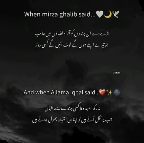 Urdu Poetry About Beauty, Urdu Asthetic Shayari, Doctor Poetry In Urdu, Beautiful Quotes Deep In Urdu, Galib Poetry Urdu, Best Shayari In Urdu, Memories Poetry In Urdu, Urdu Asthetic Lines, In English We Say But In Urdu Poetry