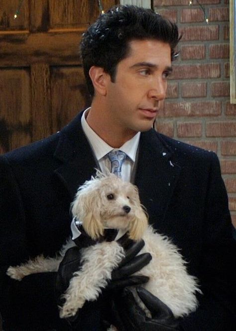 Remember the dog was the best man? Cute Dog from Friends (Ross Geller David Schwimmer) Ross Friends, Smelly Cat, David Schwimmer, Ross Geller, Friends Cast, Friends Tv Series, Joey Tribbiani, Friends Moments, Friends Series