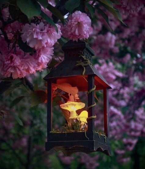 Mushroom Lantern, Mushroom Nature, Glowing Mushrooms, Mushroom Lights, Black Lantern, Glowing Art, Lantern Design, Vintage Lanterns, Mushroom Decor