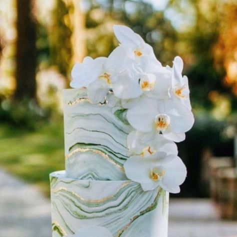 Baker Boys Wedding Cakes on Instagram: "The emerald marble wedding cake we designed for Marile & Jaco at Shepstone Gardens.  Added gold detailing for effect. Such an awesome couple, who took all the challenges in their stride. Congratulations to both of you!" Marble Wedding Cake, Emerald Marble, Marble Wedding, Baker Boy, Jaco, Green Marble, Wedding Plans, Cake Inspiration, Gold Details