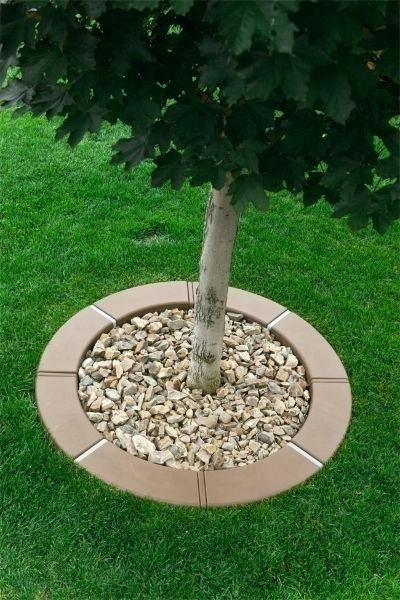 Reka Bentuk Landskap, Trees Backyard, Diy Garden Landscaping, Taman Diy, Landscaping Around Trees, Simple Backyard, Pergola Diy, Jardim Diy, Desain Lanskap