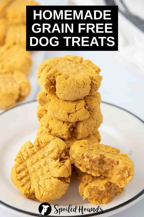 Homemade Grain Free Dog Treats are made with coconut flour, tapioca flour, pumpkin puree, peanut butter, and egg. Get the easy recipe and find out how to make the best grain free treats for dogs. These DIY dog treats have healthy, simple, and dog-safe ingredients. They’re gluten free, dairy free, and great for dogs with a wheat allergy. Dog Treats For Dogs With Allergies, Healthy Dog Treats Homemade Grain Free, Peanut Butter Dog Treats Recipes, Grain Free Dog Treat Recipes Easy, Grain Free Dog Treats Homemade, Recipes For Dog Food Home Made, Gluten Free Dog Treats Homemade, Pumpkin Puree Dog Treats, Homemade Soft Dog Treats