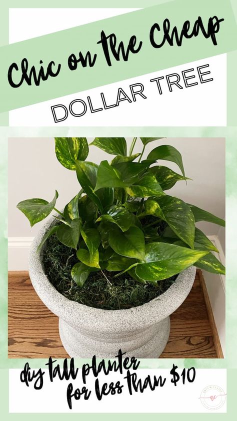 If you're looking for a cheap way to pep up your home or garden, look no further! You can make a stylish, durable, and long-lasting tall planter for under an hour with just a few basic tools and supplies from Dollar Tree. No power tools are required for this project, and all the tips, tricks, and techniques you need to make a cheap DIY tall planter will be revealed in this easy-to-follow DIY tutorial. Dollar Tree Diy Planter, Diy Tall Planters Indoor, Diy Front Porch Planters, Diy Tall Planters Outdoor Cheap, Dollar Tree Garden Hacks, Diy Large Planters Outdoor Cheap, Diy Large Planters Outdoor, Diy Tall Planters Outdoor, Diy Big Planters Pots