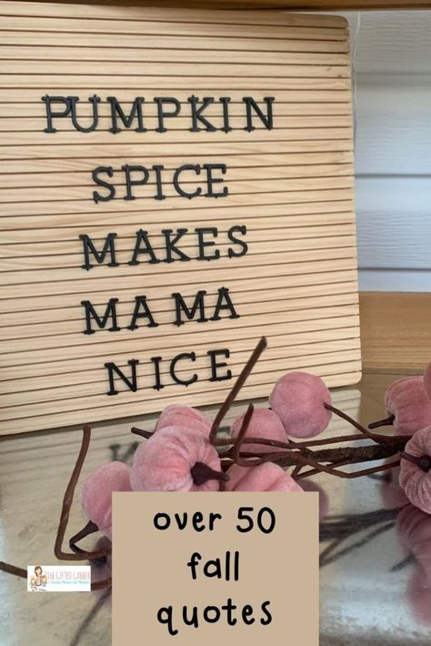 Fall Memo Board Quotes, Short Letter Board Quotes, Funny Letter Board Ideas Short, Fall Letter Board Ideas, Funny Letter Board Ideas, Letter Board Sayings, Fall Letter Board, Campfire Quotes, Funny Fall Quotes