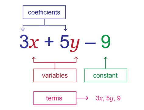 Simplify Algebraic Expressions, Algebraic Expressions Notes, Algebra Expressions, Mathematical Expressions, Algebraic Expressions Worksheet, Algebra Basics, Basic Algebra Worksheets, Simplify Expressions, Algebraic Expression