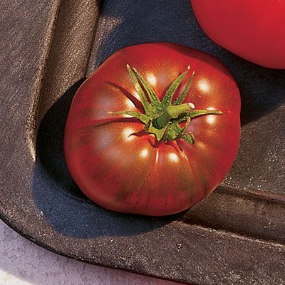 'Paul Robeson' Tomato Disease, Paul Robeson, Heirloom Tomato Seeds, Types Of Tomatoes, Tomato Seedlings, Beefsteak Tomato, Heirloom Vegetables, Seed Germination, Red Tomato