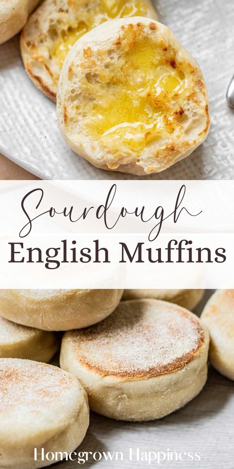 Revamp your breakfast routine with our Sourdough English Muffins. They're a game-changer, offering a tasty twist on a morning classic. Farmhouse On Boone Sourdough English Muffins, Sourdough Starter English Muffins, Same Day Sourdough English Muffins, English Muffin Sourdough Recipe, Sourdough English Muffins Recipe, Overnight Sourdough English Muffins, Sour Dough English Muffins, English Muffin Recipe Sourdough, Sourdough Starter Breakfast Recipes