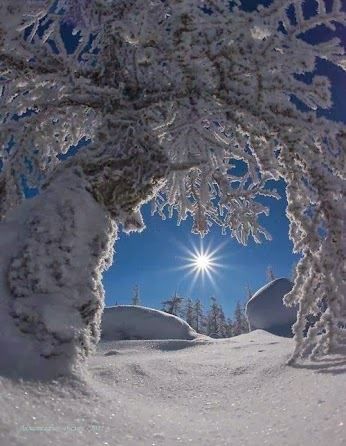 Light of winter by Bellissime Immagini via Facebook.com Winters Tafereel, Matka Natura, I Love Snow, Winter Love, Winter Magic, Winter Scenery, Winter Beauty, Snow Scenes, Snow And Ice