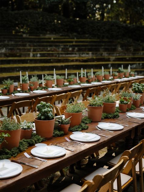 Terracotta Table Centerpiece Wedding, Herbs As Centerpieces Wedding, Terra Cotta Pots Wedding Centerpieces, Terra Cotta Pots Centerpieces Table Decorations, Terra Cotta Pot Tablescape, Herbs As Centerpieces, Potted Herbs Wedding, Terra Cotta Tablescape, Herbs In Terra Cotta Pots