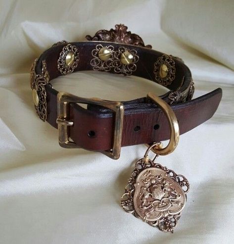 Royal Dog Collar, Aesthetic Pet Collar, Dog Collars Aesthetic, Borzoi Collar, Aesthetic Dog Collar, Cat Collar Aesthetic, Old Money Dog, Dog Collar Aesthetic, Fancy Dog Collar